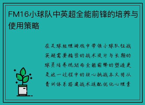 FM16小球队中英超全能前锋的培养与使用策略